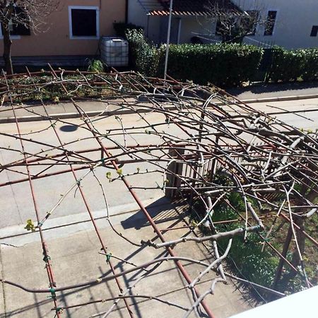 Apartments Neno Umag Rom bilde