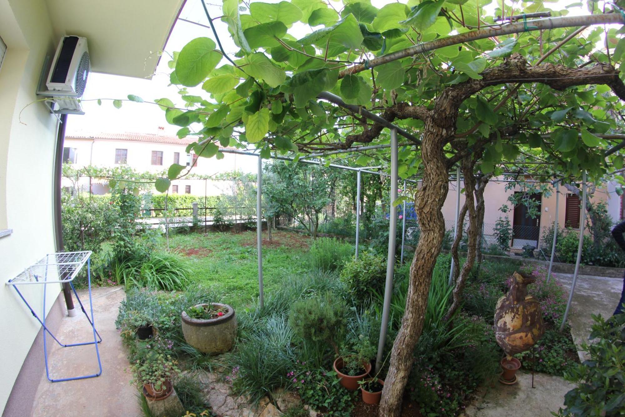 Apartments Neno Umag Rom bilde