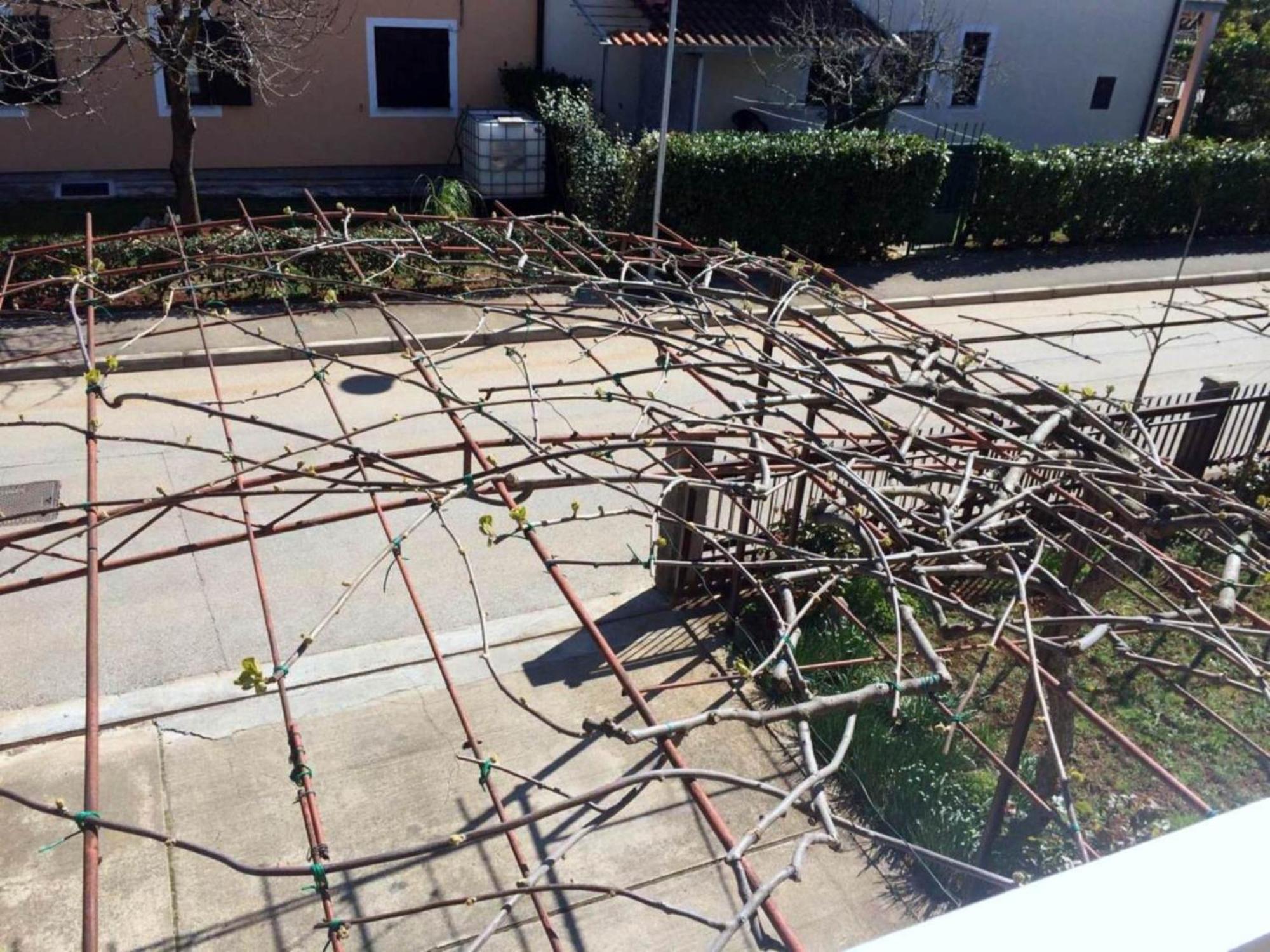 Apartments Neno Umag Rom bilde